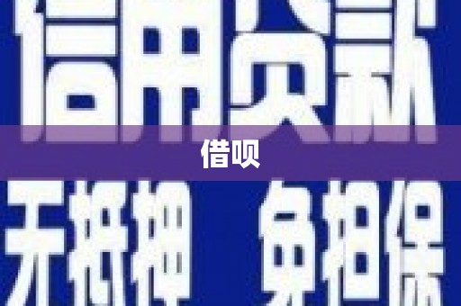 民丰借呗