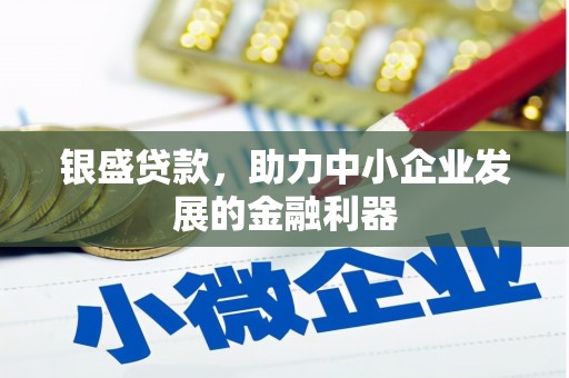 民丰银盛贷款，助力中小企业发展的金融利器