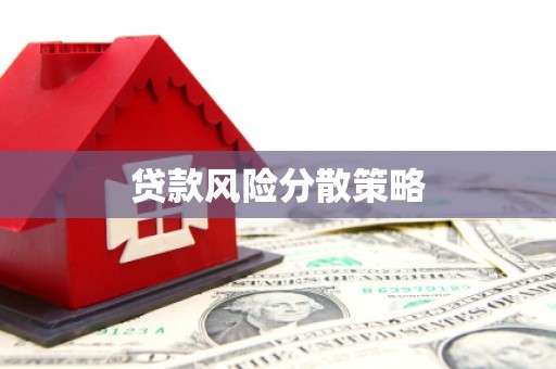 民丰贷款风险分散策略