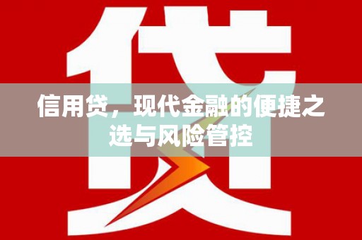 民丰信用贷，现代金融的便捷之选与风险管控