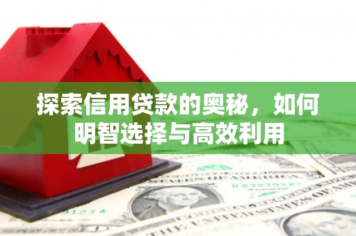 民丰探索信用贷款的奥秘，如何明智选择与高效利用