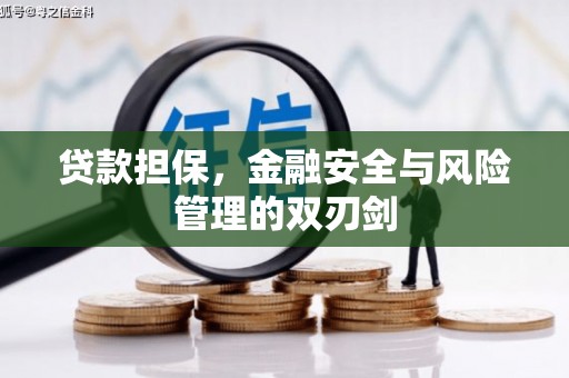 民丰贷款担保，金融安全与风险管理的双刃剑