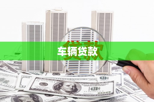 民丰车辆贷款