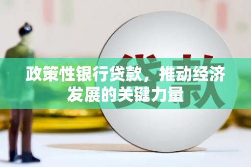民丰政策性银行贷款，推动经济发展的关键力量