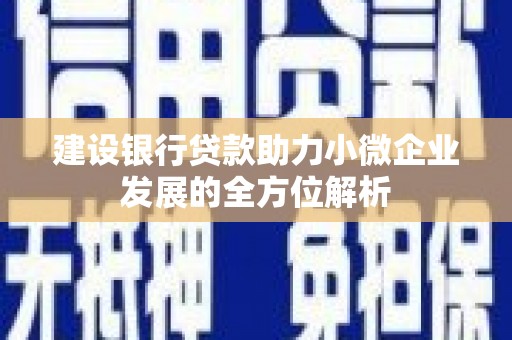 民丰建设银行贷款助力小微企业发展的全方位解析