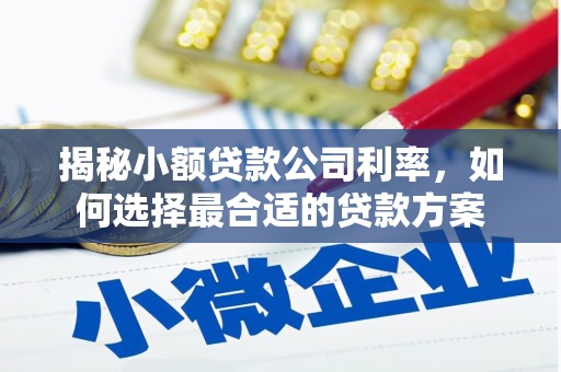 民丰揭秘小额贷款公司利率，如何选择最合适的贷款方案