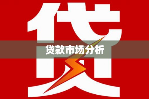 民丰贷款市场分析