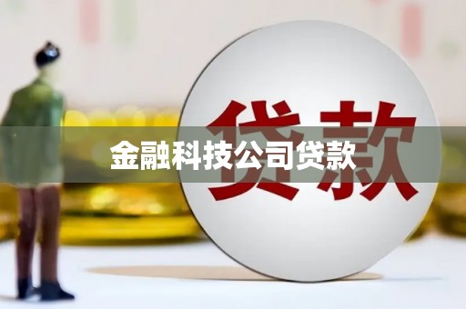 民丰金融科技公司贷款