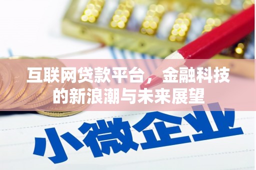 民丰互联网贷款平台，金融科技的新浪潮与未来展望