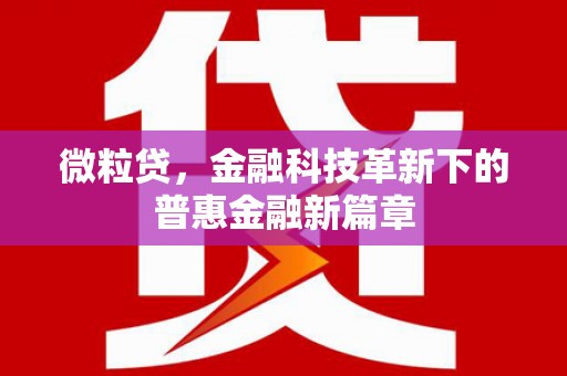 民丰微粒贷，金融科技革新下的普惠金融新篇章