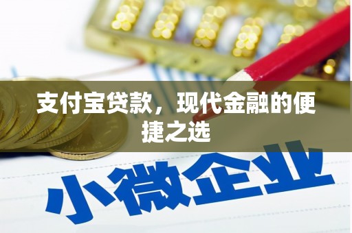 民丰支付宝贷款，现代金融的便捷之选