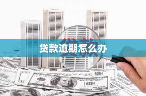 民丰贷款逾期怎么办
