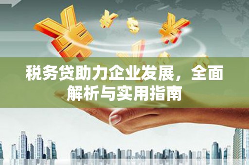 民丰税务贷助力企业发展，全面解析与实用指南
