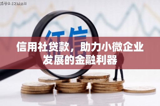 民丰信用社贷款，助力小微企业发展的金融利器