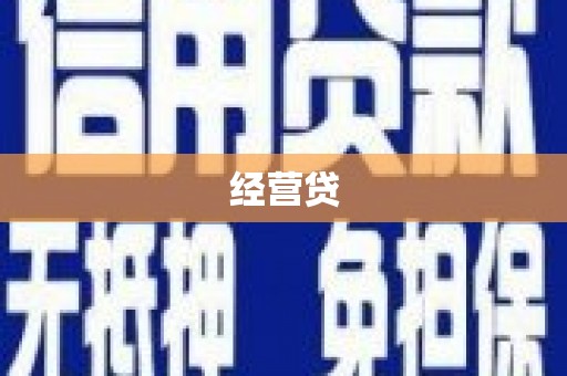 民丰经营贷