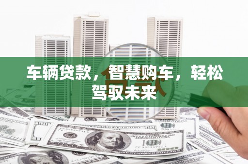 民丰车辆贷款，智慧购车，轻松驾驭未来