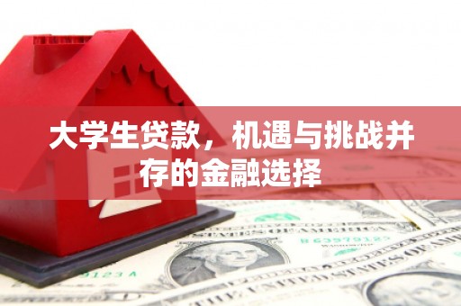 民丰大学生贷款，机遇与挑战并存的金融选择