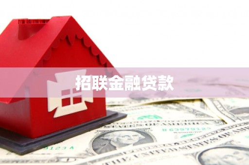 民丰招联金融贷款