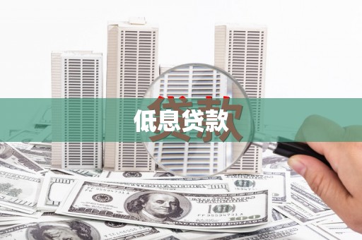 民丰低息贷款