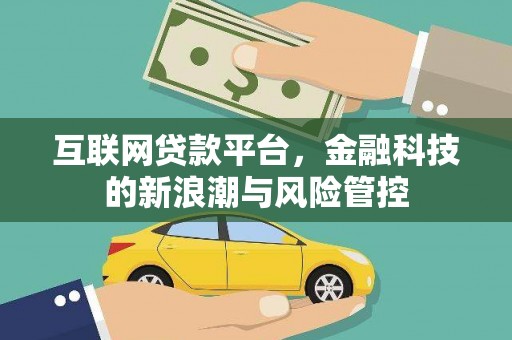 民丰互联网贷款平台，金融科技的新浪潮与风险管控