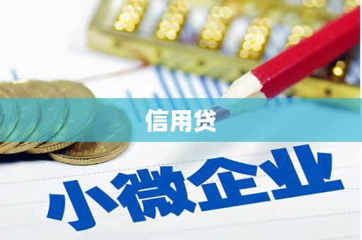 民丰信用贷