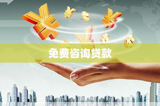 民丰免费咨询贷款