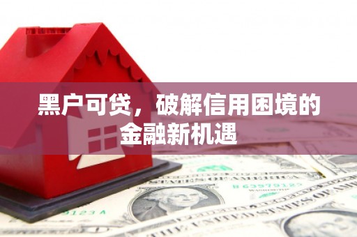 民丰黑户可贷，破解信用困境的金融新机遇