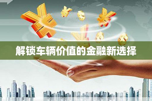 民丰解锁车辆价值的金融新选择
