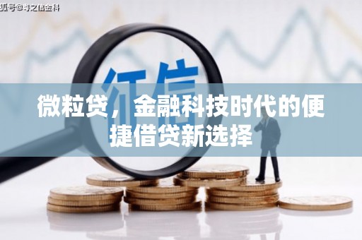 民丰微粒贷，金融科技时代的便捷借贷新选择