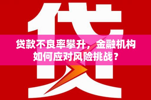 民丰贷款不良率攀升，金融机构如何应对风险挑战？