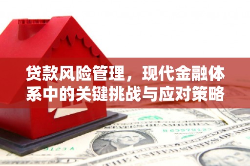 民丰贷款风险管理，现代金融体系中的关键挑战与应对策略