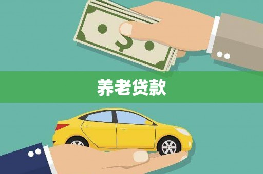 民丰养老贷款