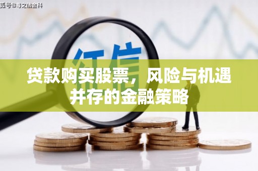 民丰贷款购买股票，风险与机遇并存的金融策略