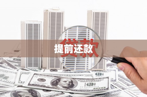 民丰提前还款