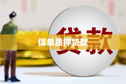 民丰保单质押贷款