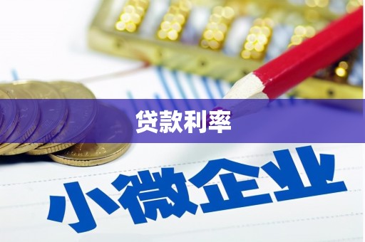 民丰贷款利率