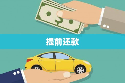 民丰提前还款