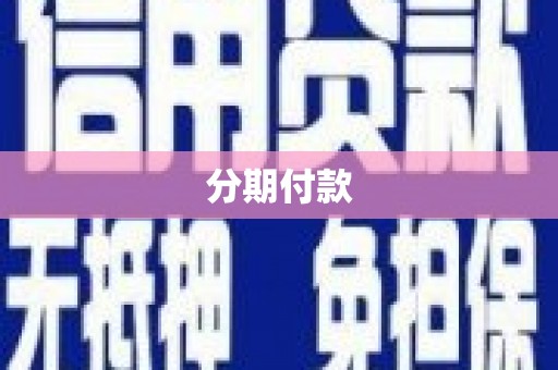 民丰分期付款