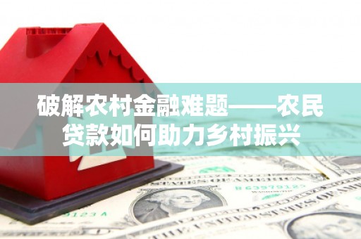 民丰破解农村金融难题——农民贷款如何助力乡村振兴