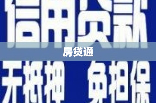 民丰房贷通