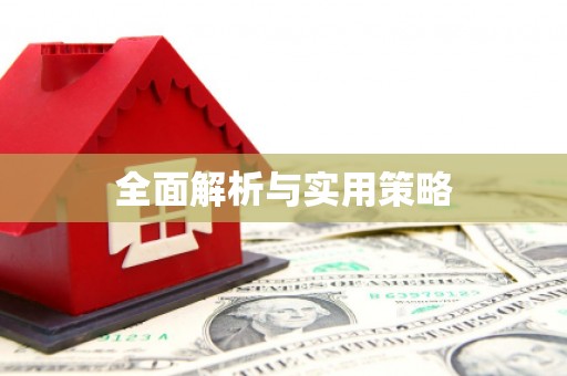 民丰全面解析与实用策略