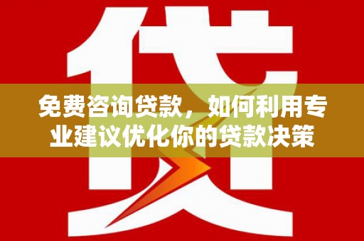 民丰免费咨询贷款，如何利用专业建议优化你的贷款决策