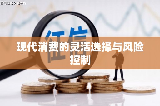 民丰现代消费的灵活选择与风险控制