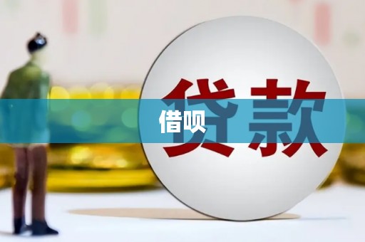 民丰借呗