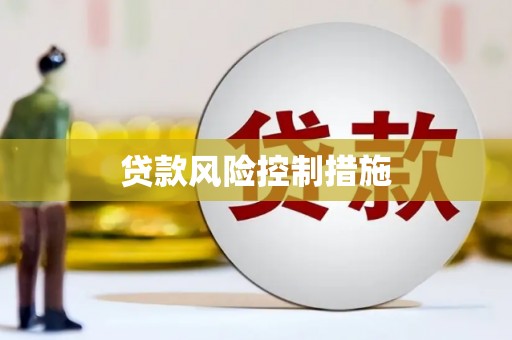 民丰贷款风险控制措施