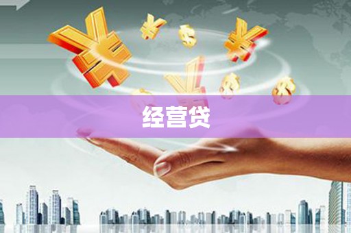 民丰经营贷