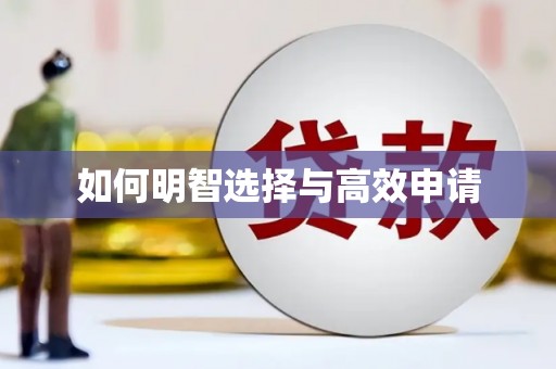 民丰如何明智选择与高效申请