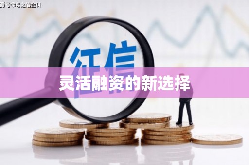 民丰灵活融资的新选择
