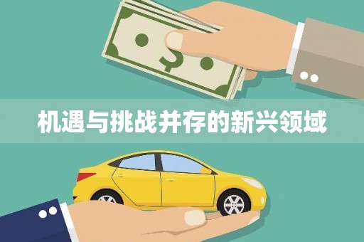 民丰机遇与挑战并存的新兴领域