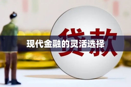 民丰现代金融的灵活选择